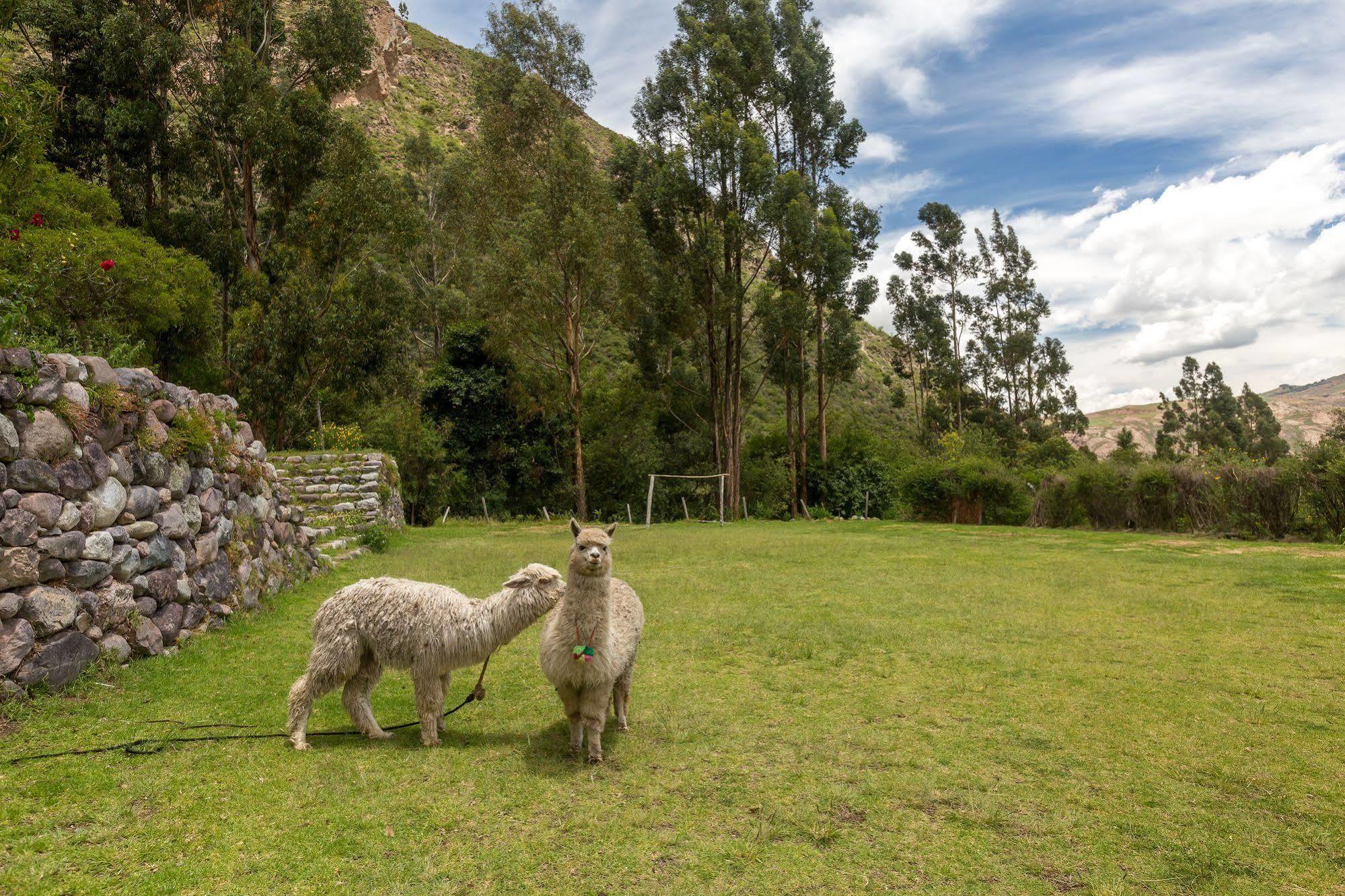 Hotel Hacienda Del Valle Urubamba Exteriér fotografie